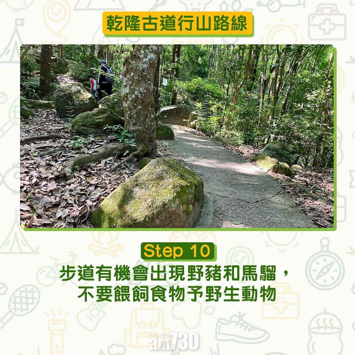 短程市區行山路線