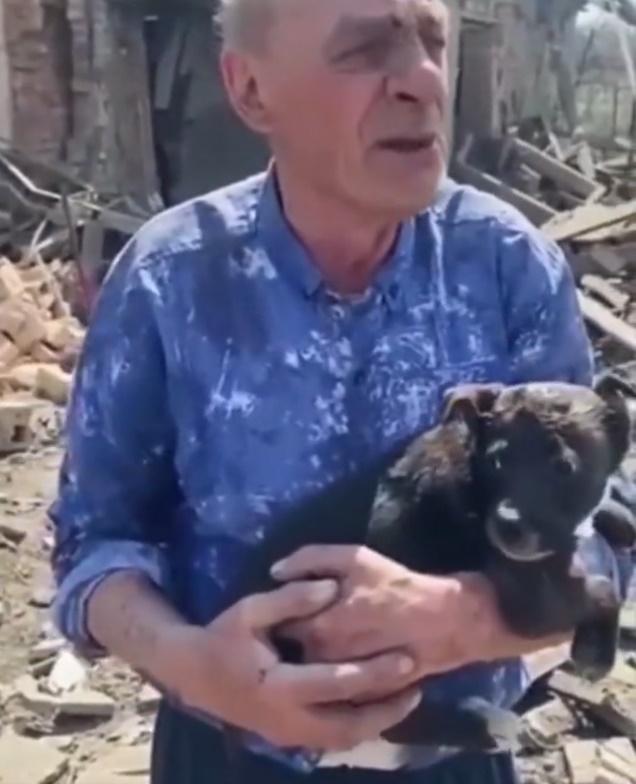 小狗與主人團聚。(Twitter)