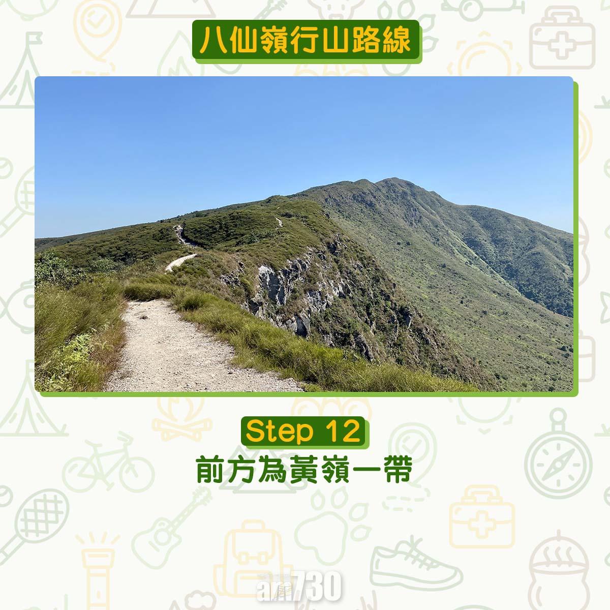 八仙嶺行山路線|前方為黃嶺一帶。