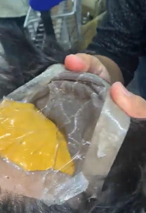 秃頭藏黃金。(Twitter)