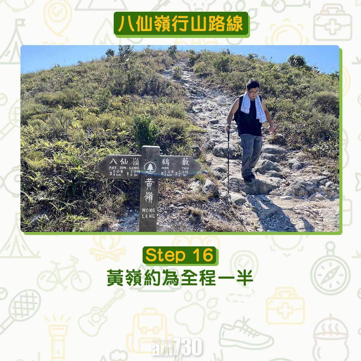 八仙嶺行山路線|黃嶺約為全程一半。