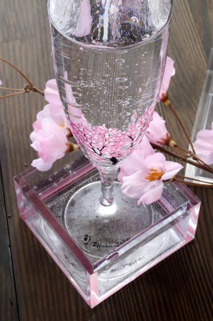 注入17度以下的冷飲讓粉櫻綻放