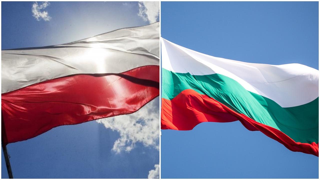 俄天然氣分別佔波蘭及保加利亞需求50%及90%。(資料圖片)