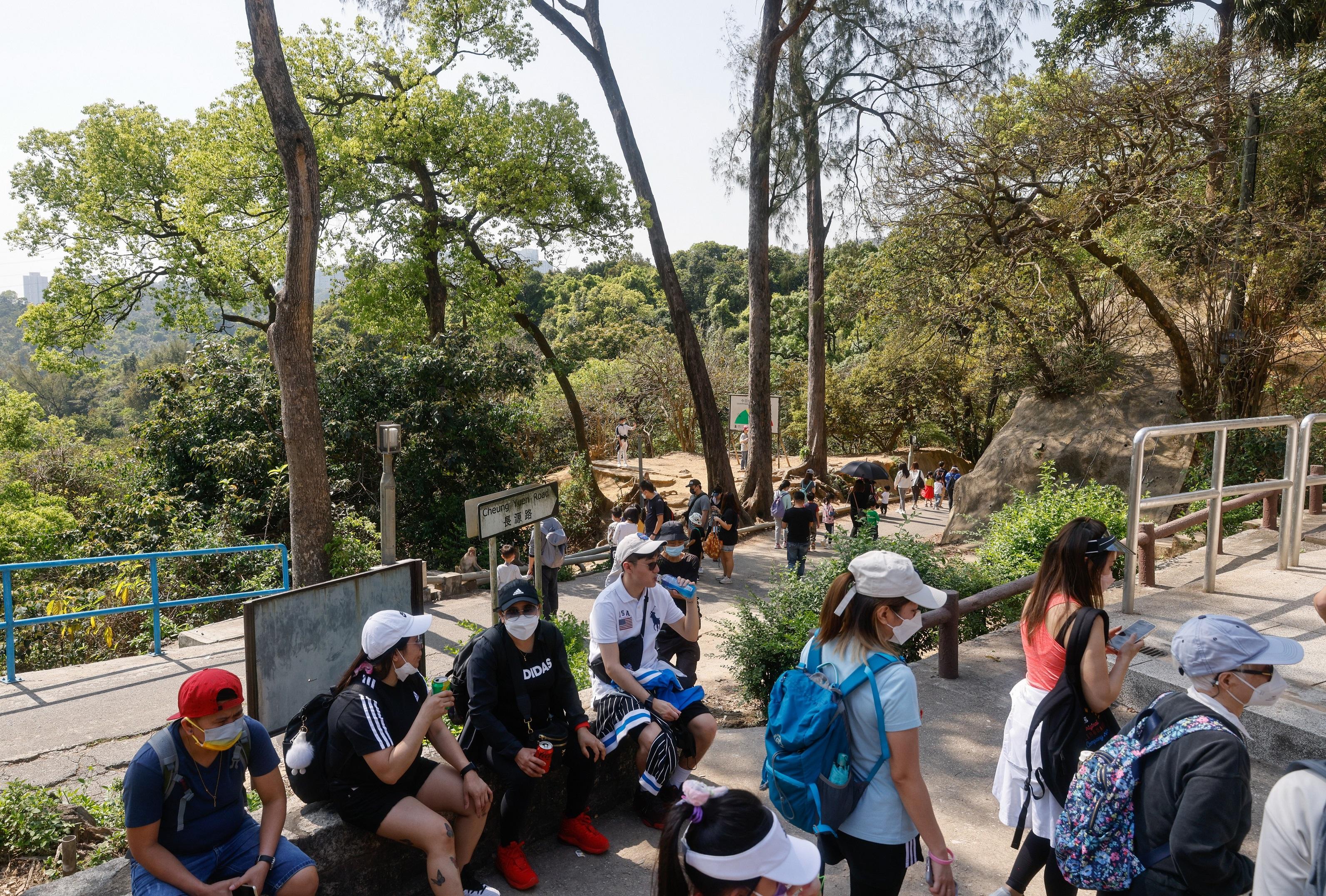 疫情回落,市民出行次數增加。(資料圖片/蘇文傑攝)