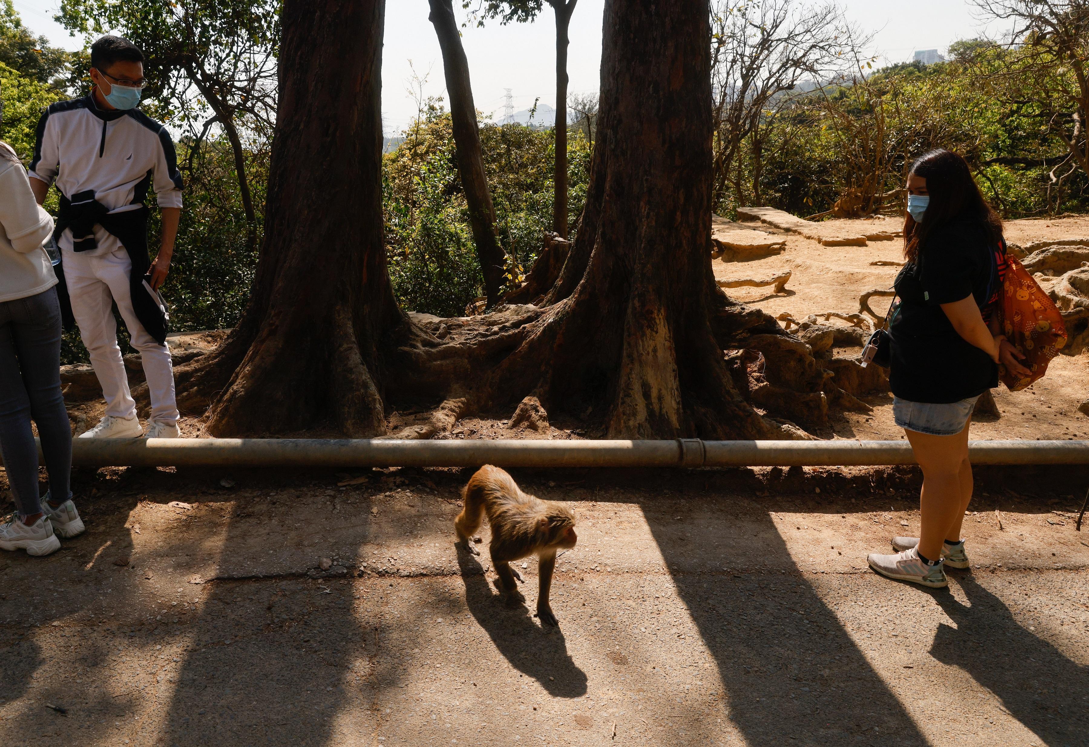 疫情回落,市民出行次數增加。(資料圖片/蘇文傑攝)