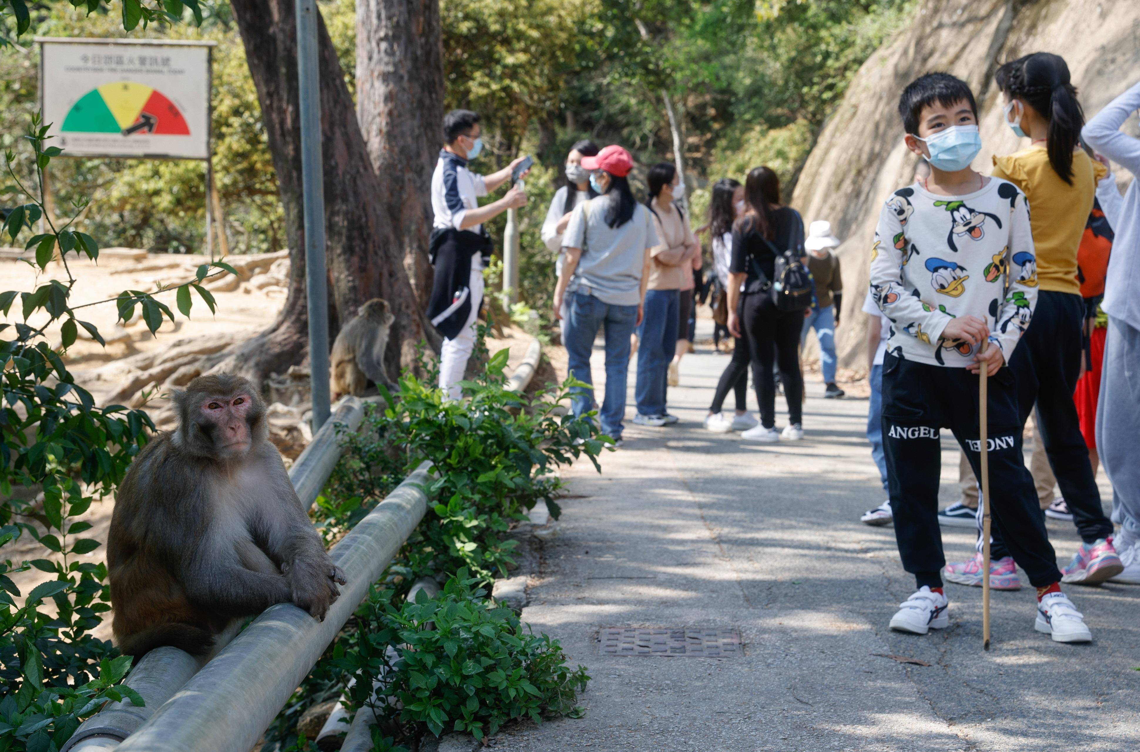 疫情回落,市民出行次數增加。(資料圖片/蘇文傑攝)