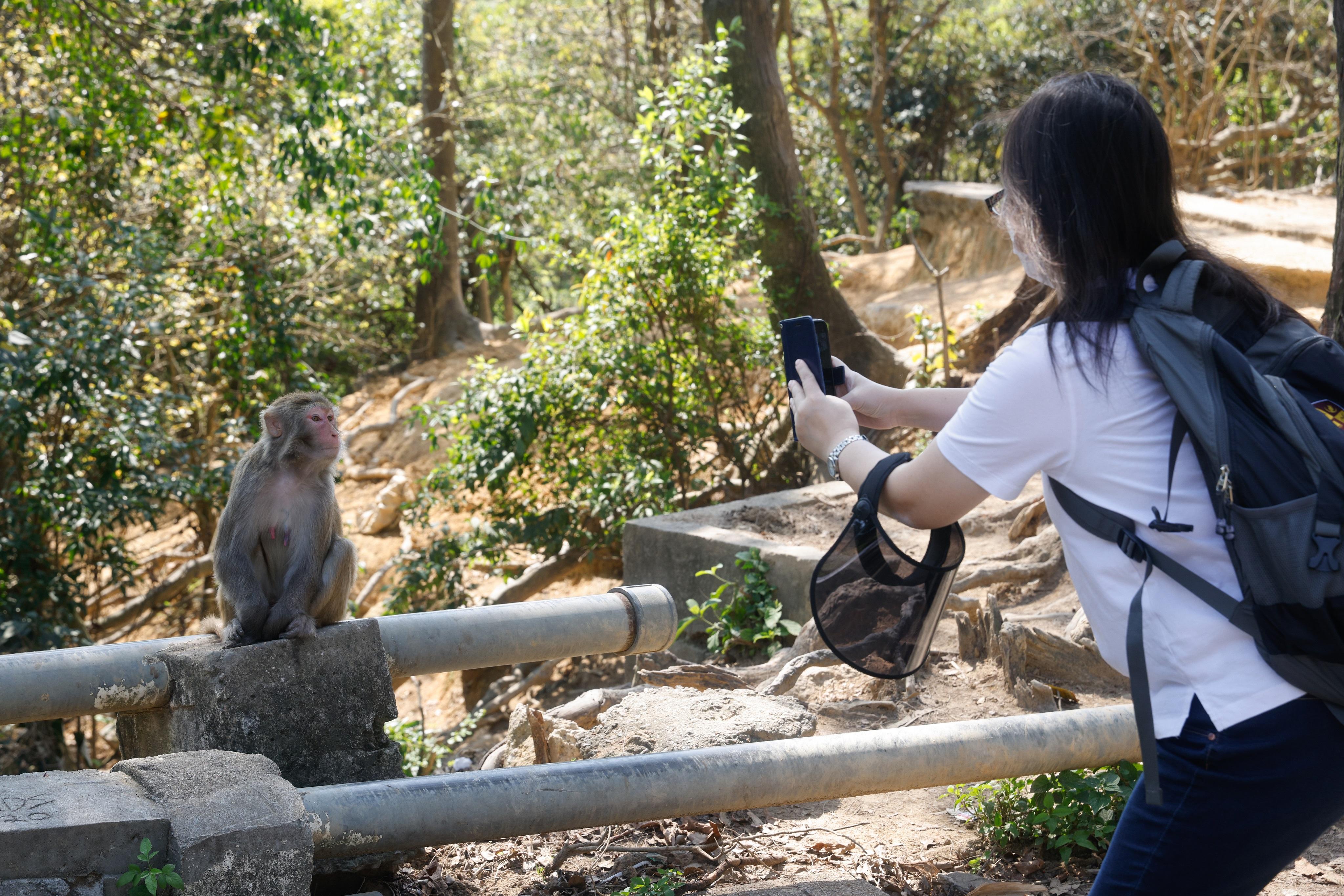 疫情回落,市民出行次數增加。(資料圖片/蘇文傑攝)