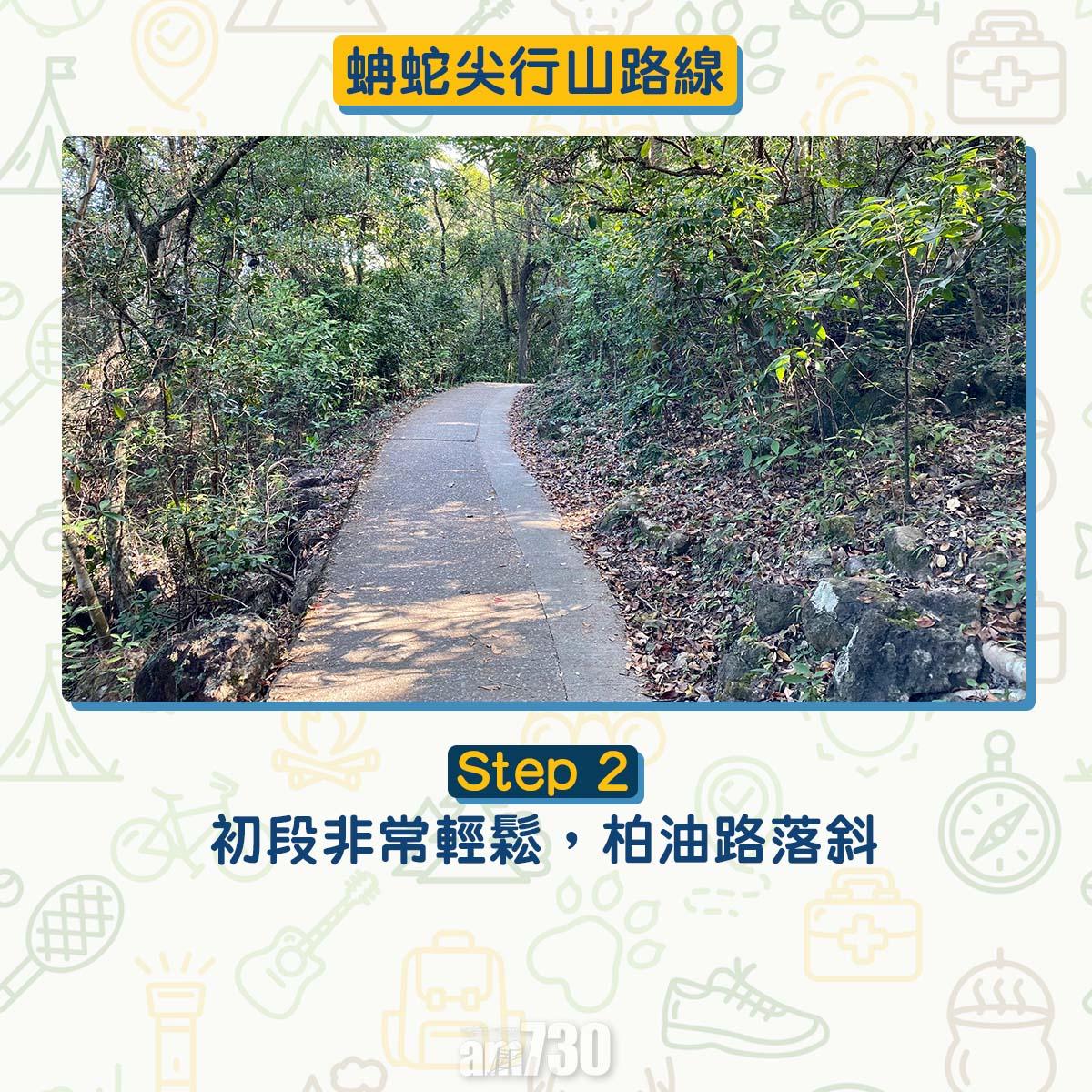西貢行山路線 蚺蛇尖