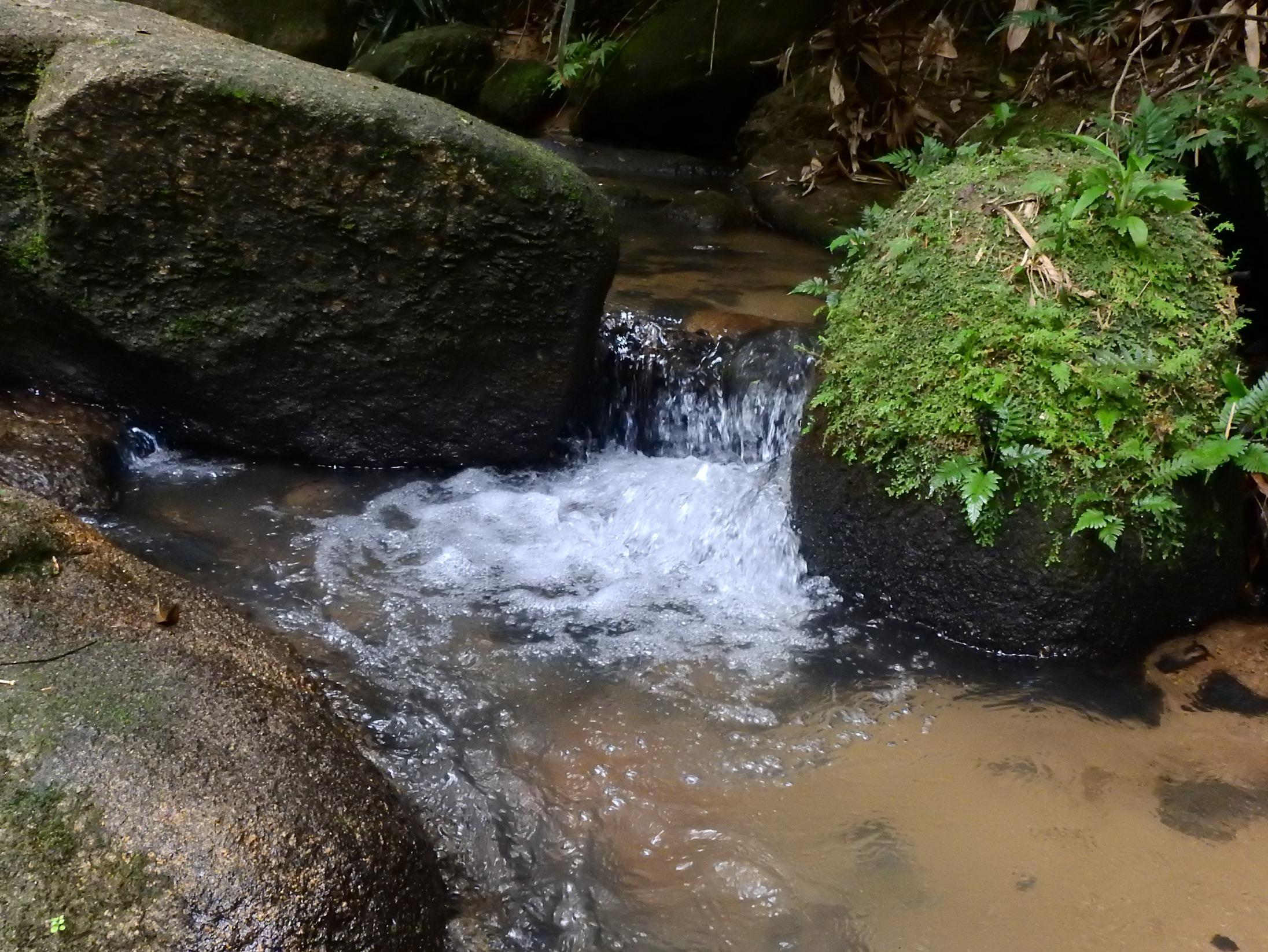 集水區內有多條天然溪澗,將落在天然河盆內的雨水,匯集到水塘儲存。