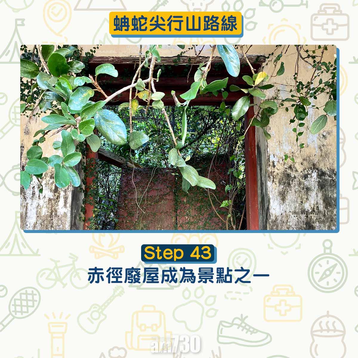 西貢行山路線 蚺蛇尖