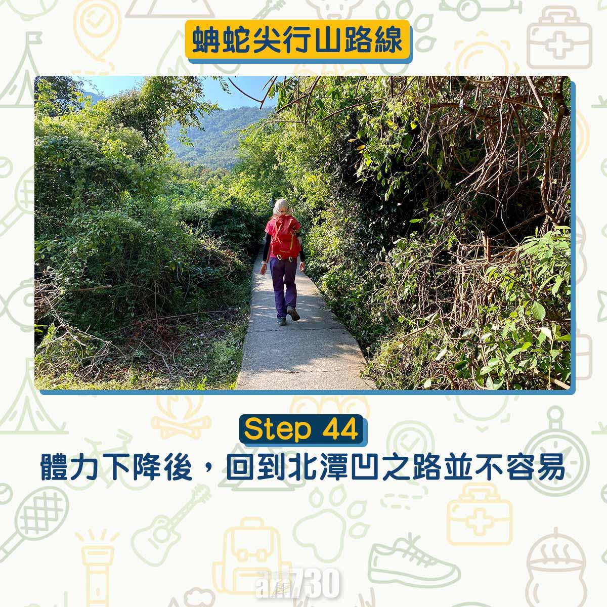 西貢行山路線 蚺蛇尖