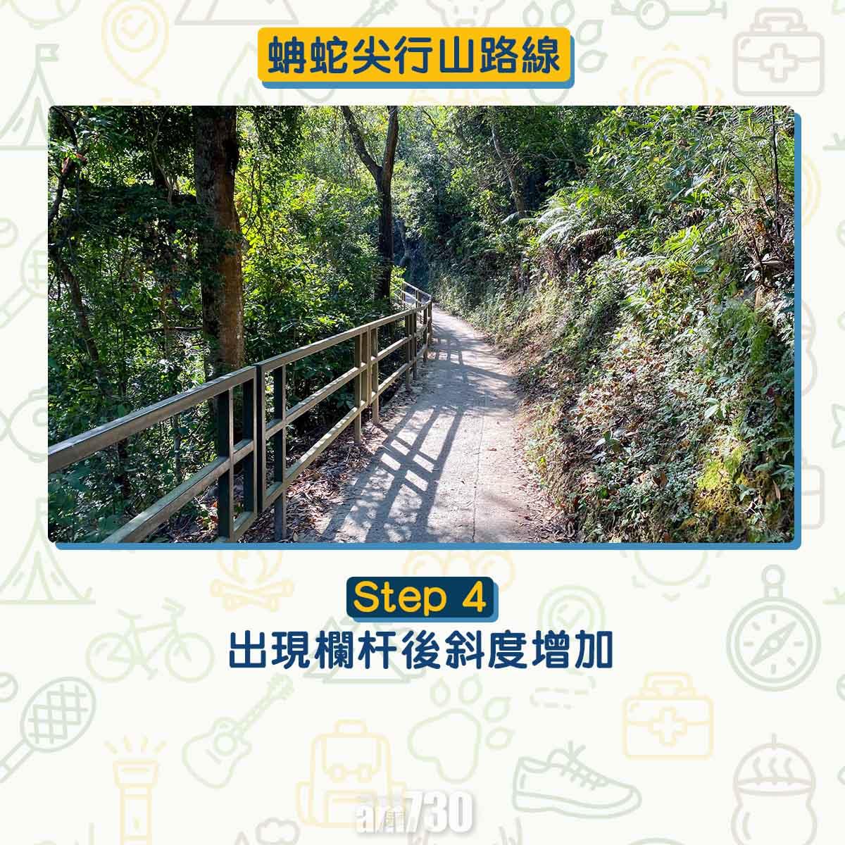 西貢行山路線 蚺蛇尖