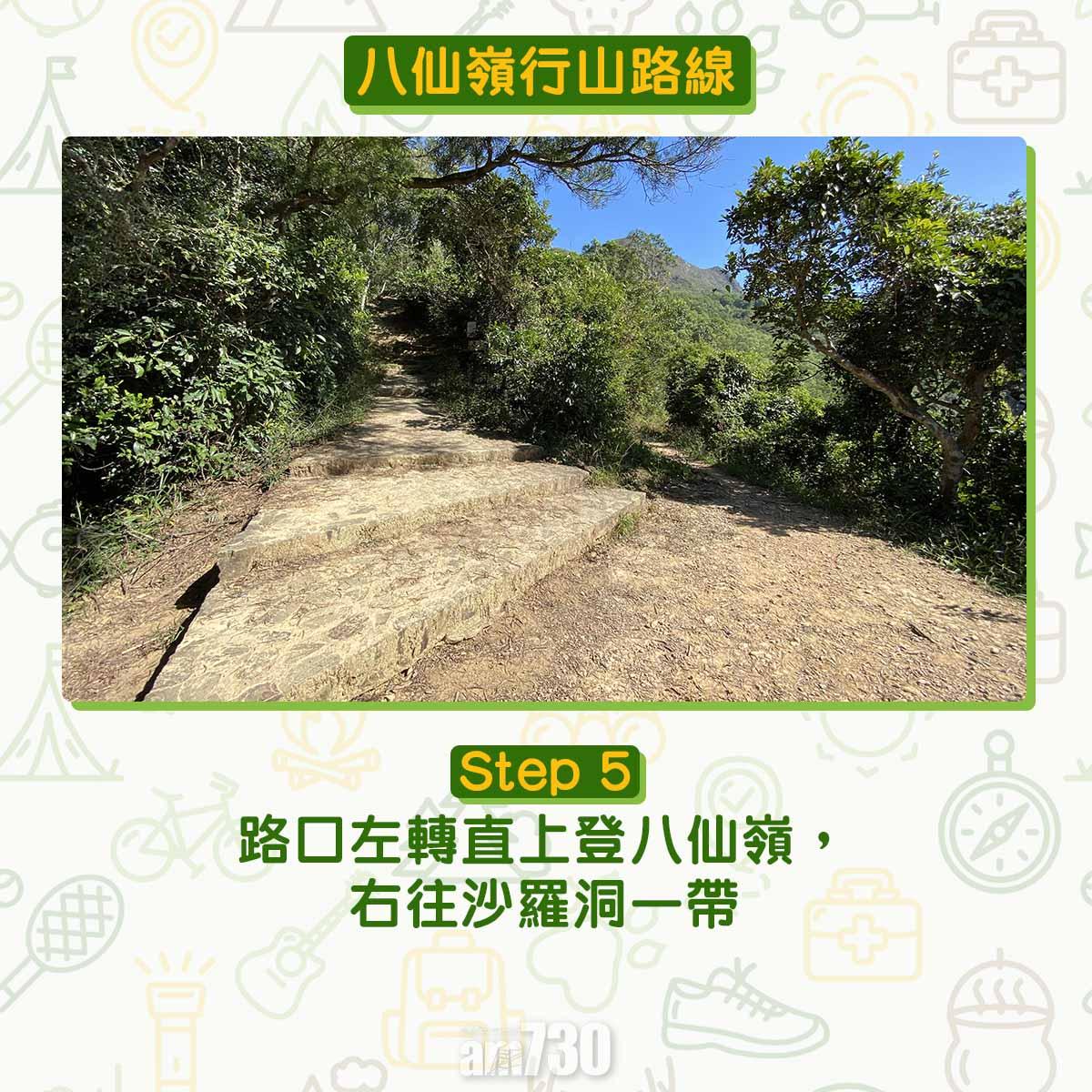 八仙嶺行山路線|路口左轉直上登八仙嶺,右往沙羅洞一帶。