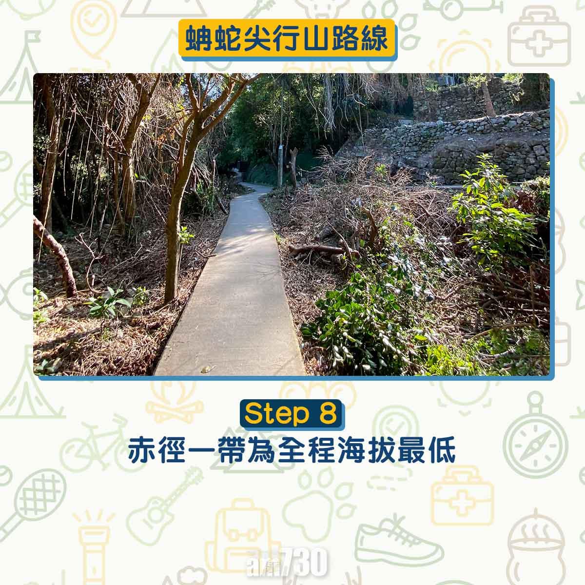 西貢行山路線 蚺蛇尖