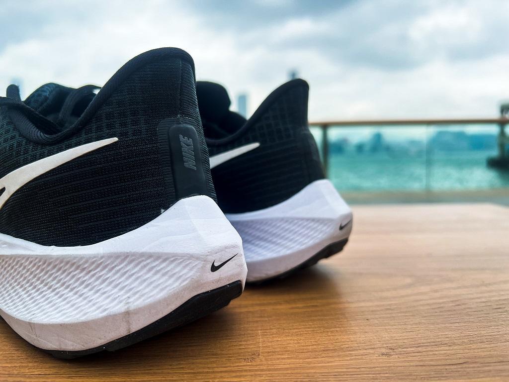 Pegasus 39實測報告