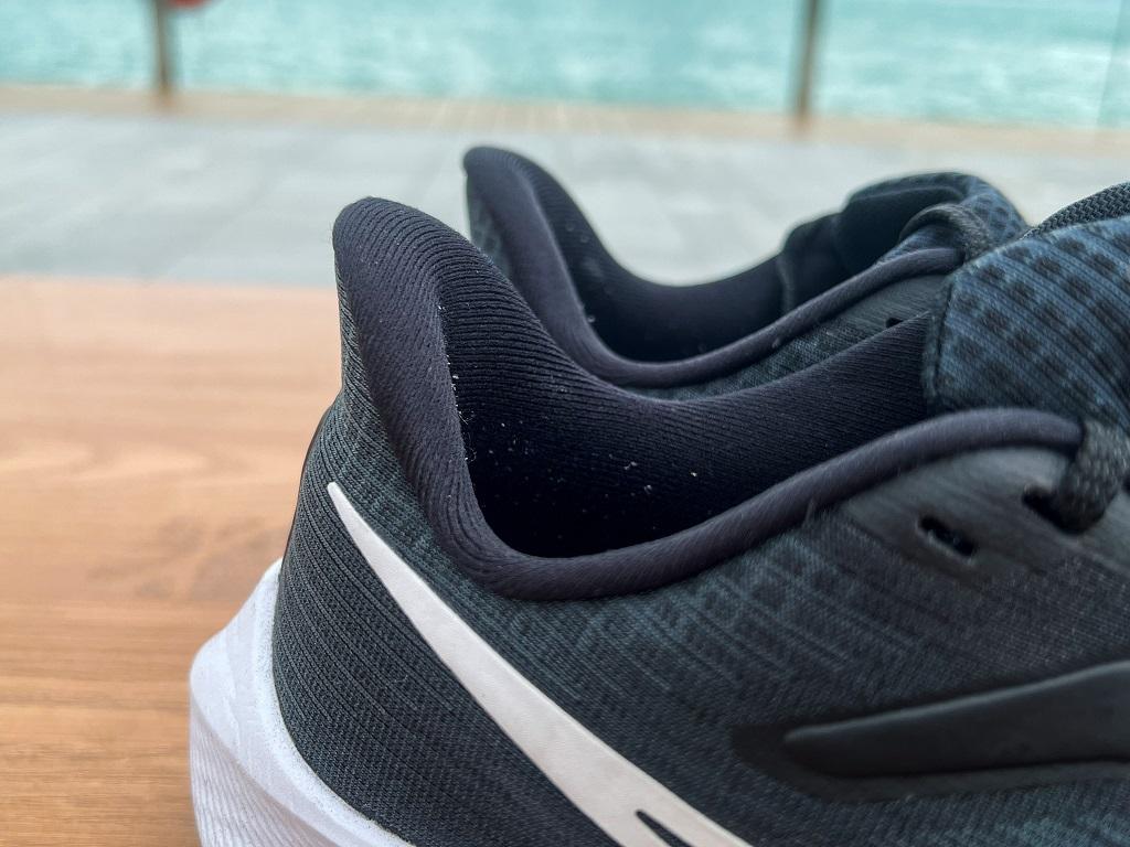 Pegasus 39實測報告