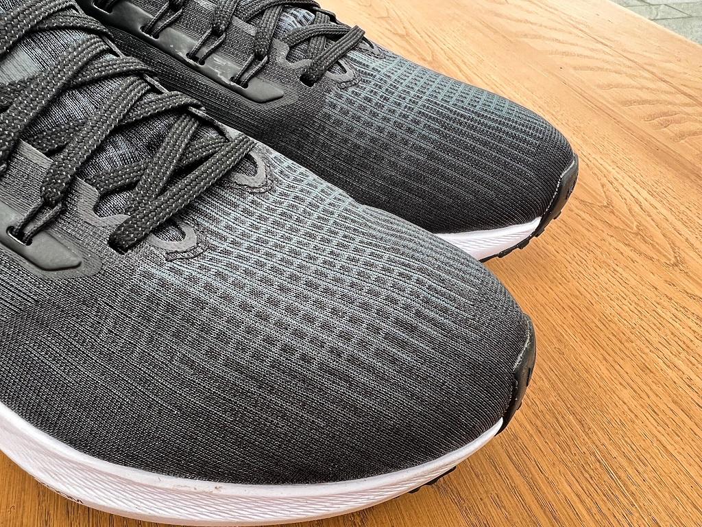 Pegasus 39實測報告