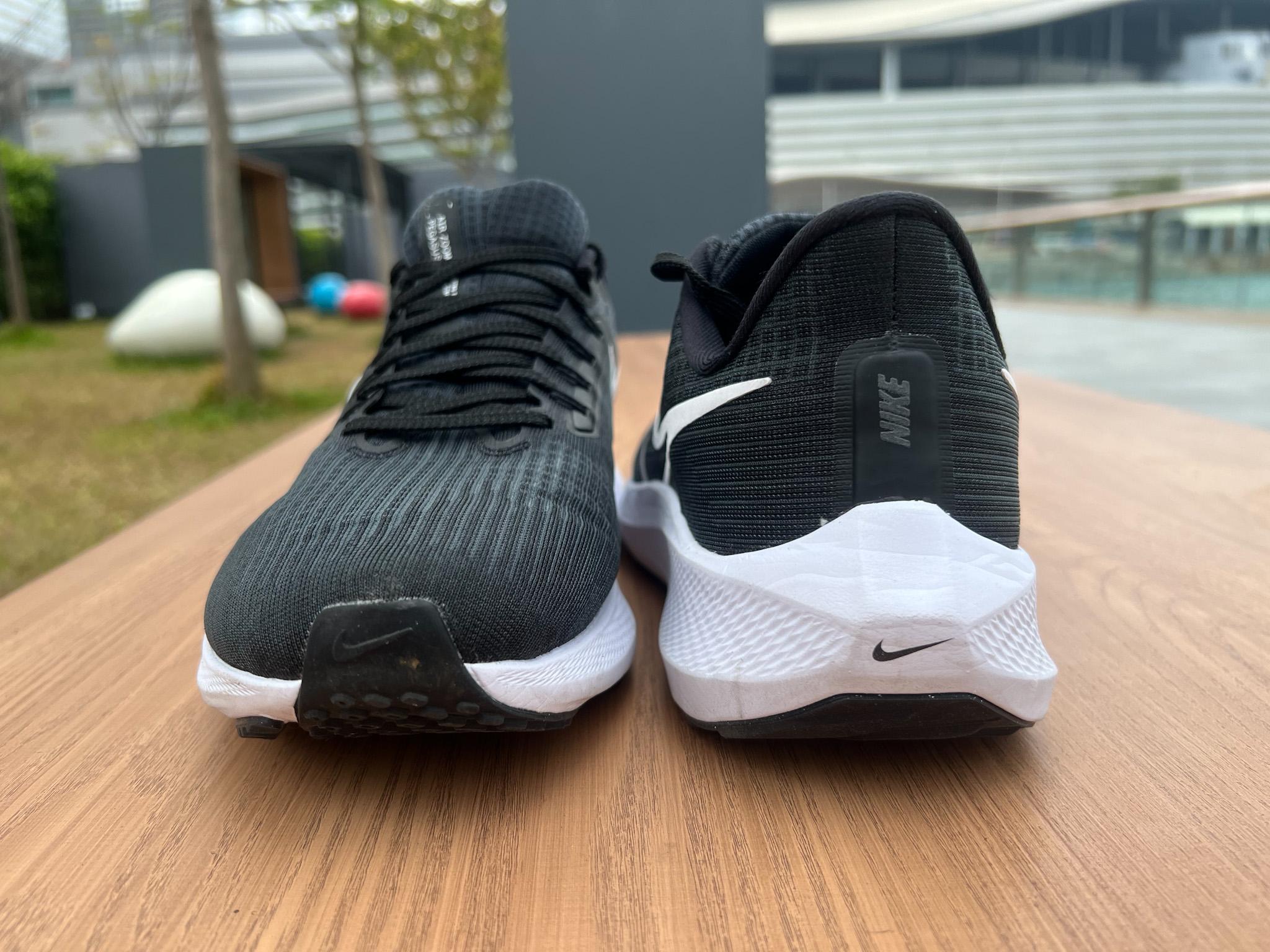 Pegasus 39實測報告