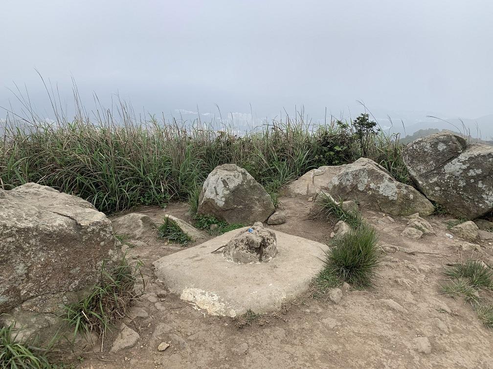 井欄樹上東洋山