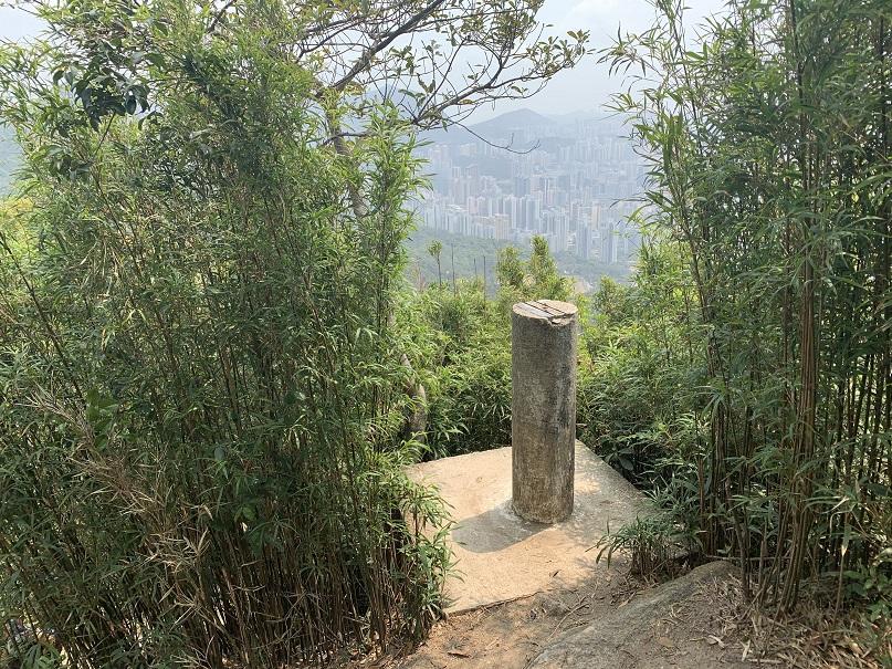 井欄樹上東洋山