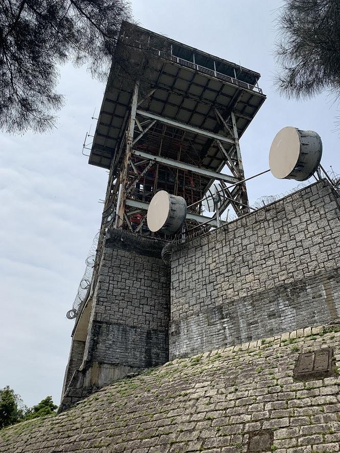 井欄樹上東洋山