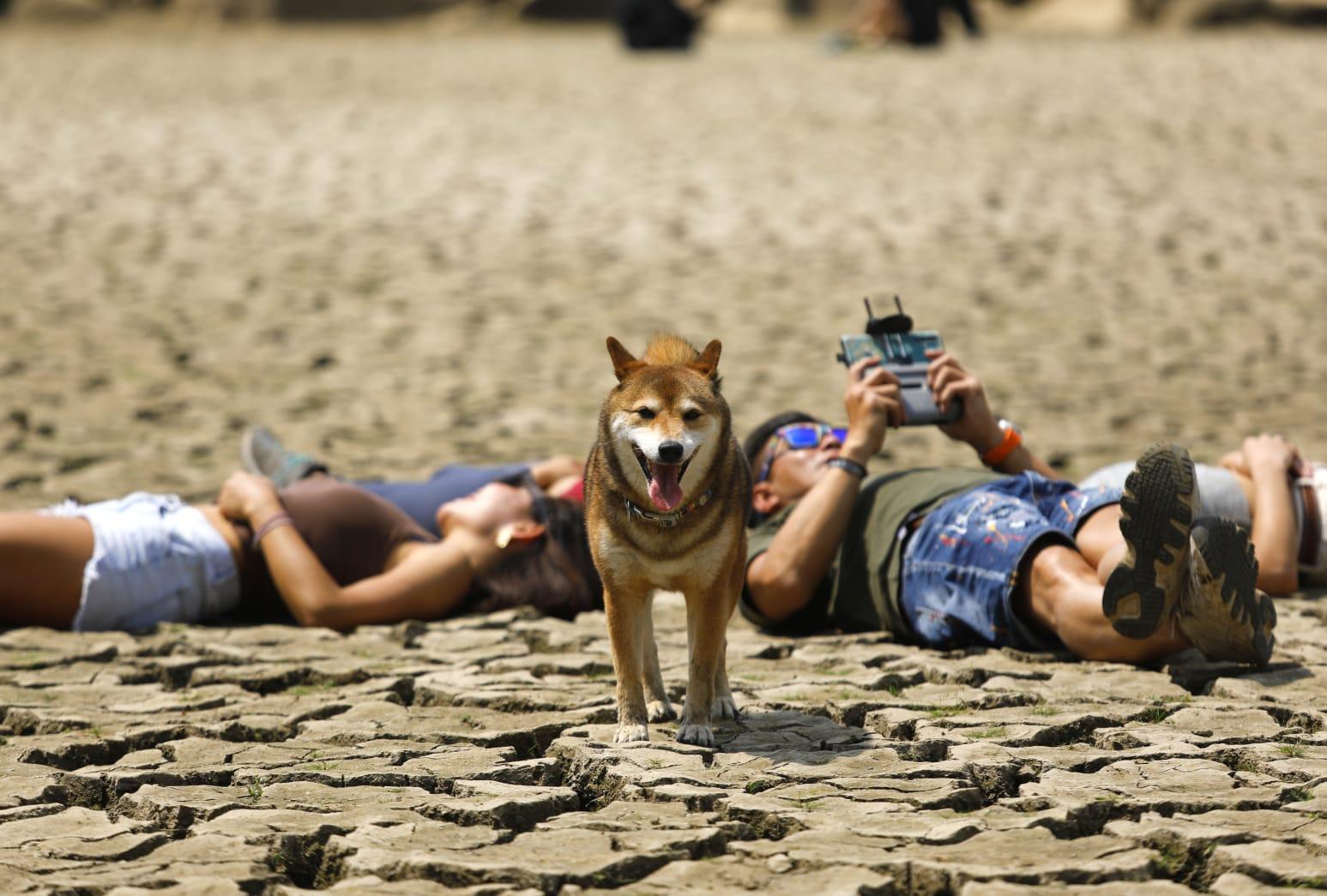 水務署, 下城門水塘