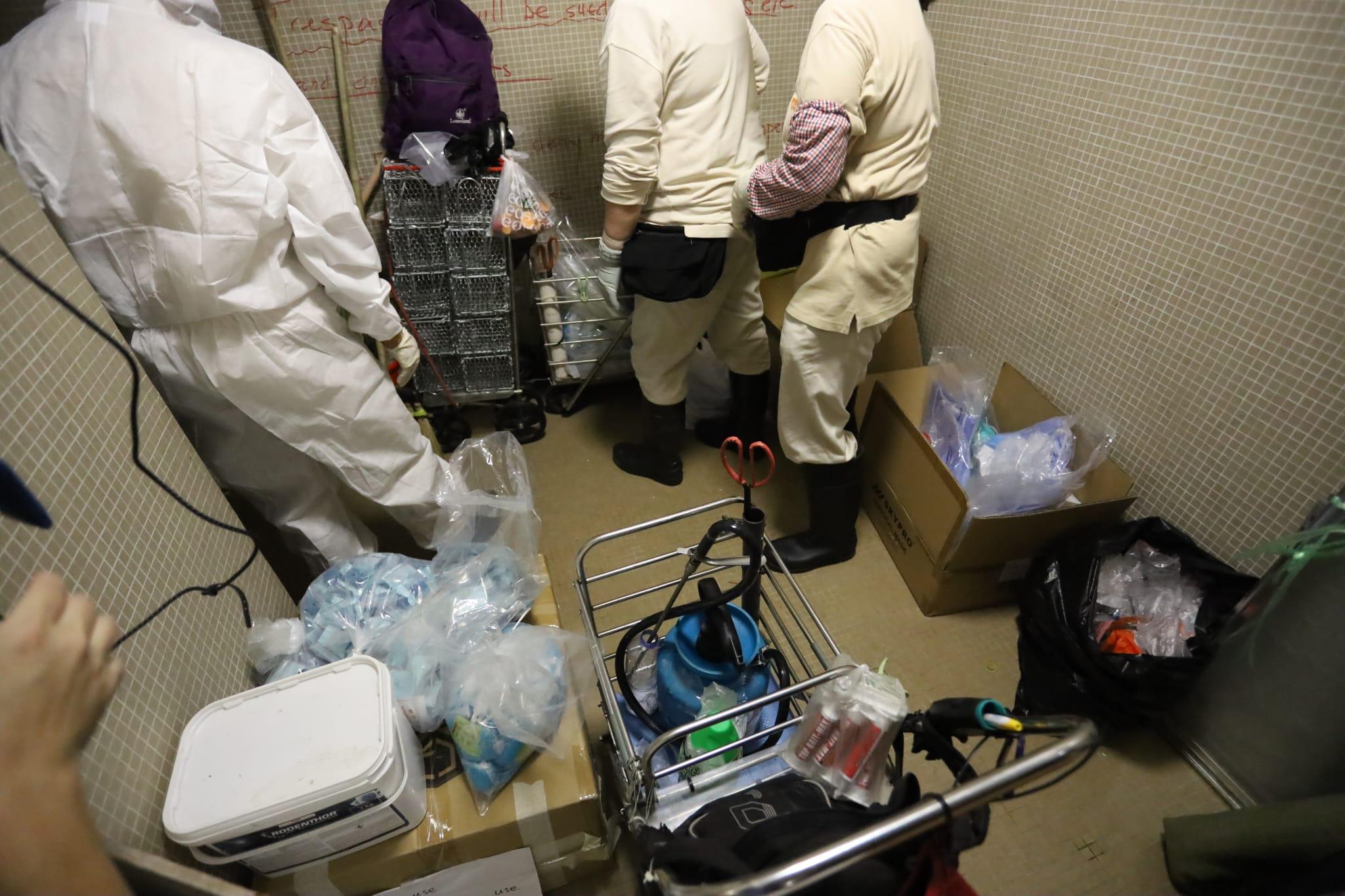 食環署, 美孚新邨, 滅鼠, 老鼠, 鼠患