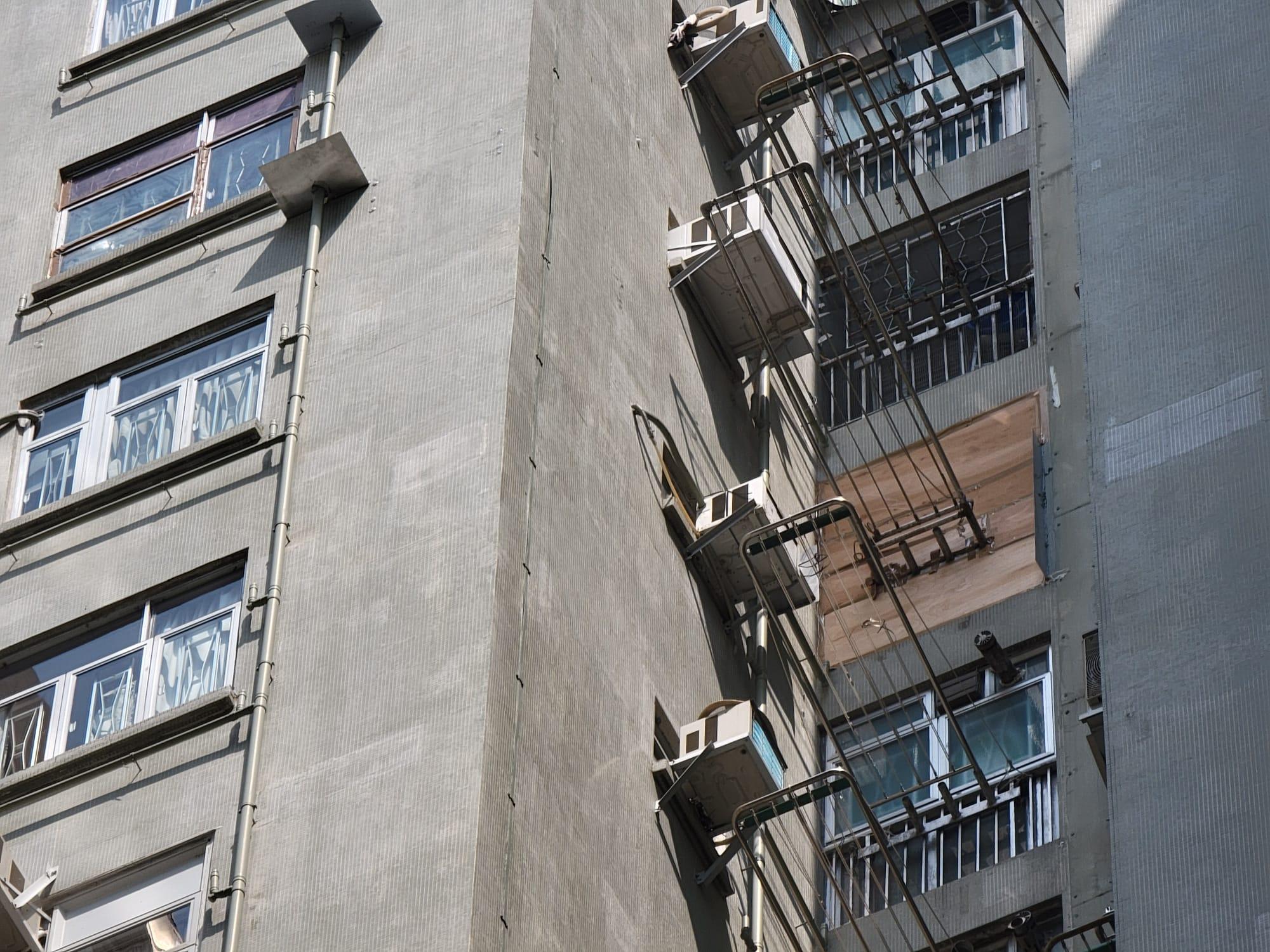 食環署, 美孚新邨, 滅鼠, 老鼠, 鼠患