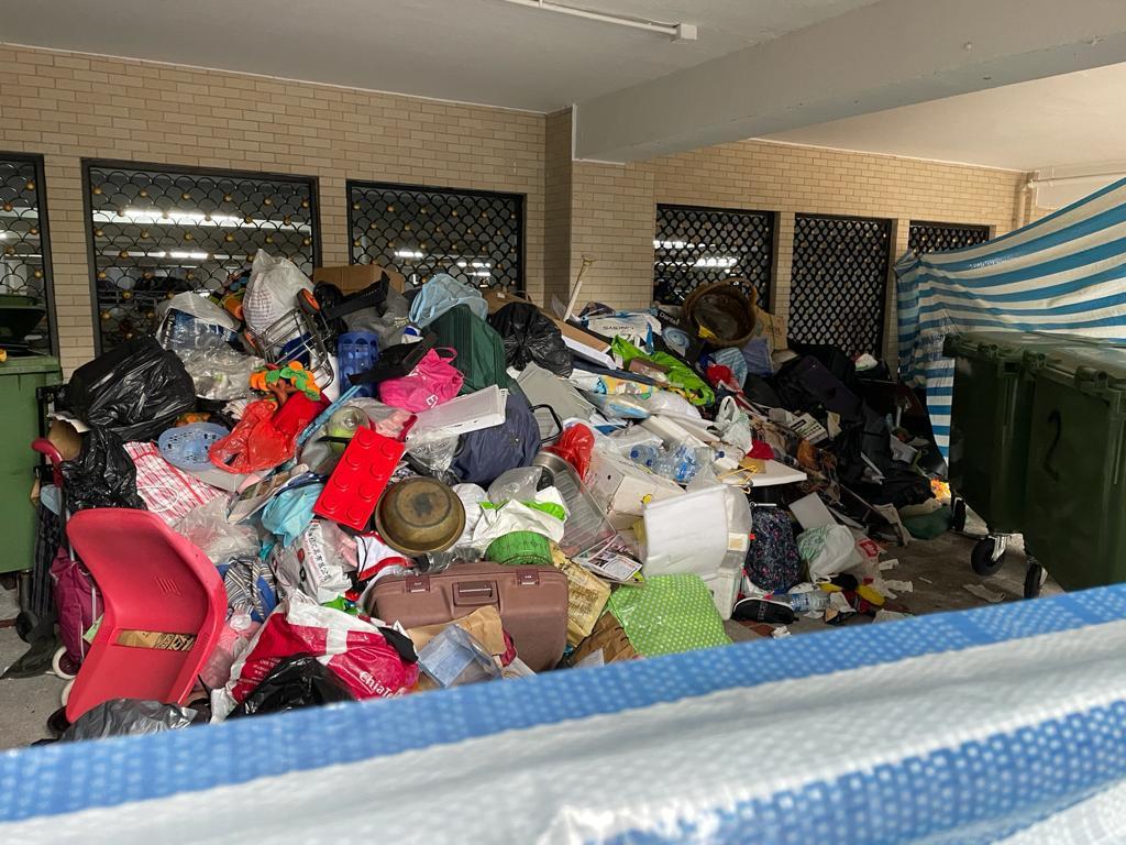 食環署, 美孚新邨, 滅鼠, 老鼠, 鼠患