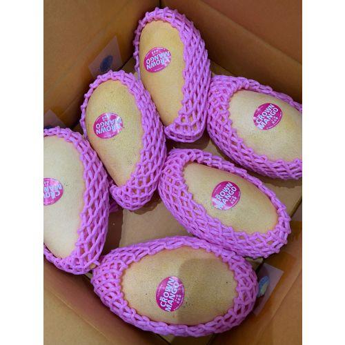 泰國皇冠金水仙芒果2個 $90