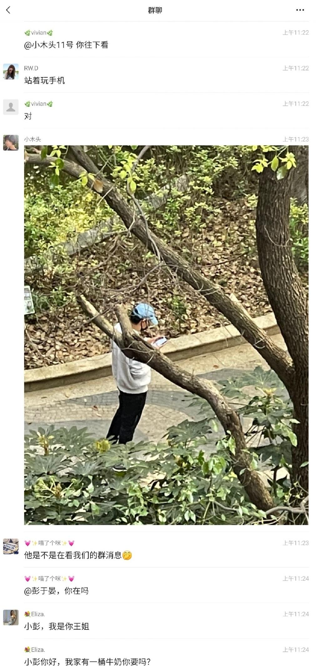 同區的網民在群組瘋狂討論。