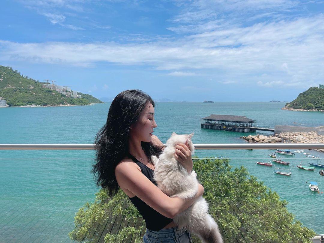 赤柱廣場容許狗狗於商場落地行走 (instagram @sherman_lsm)