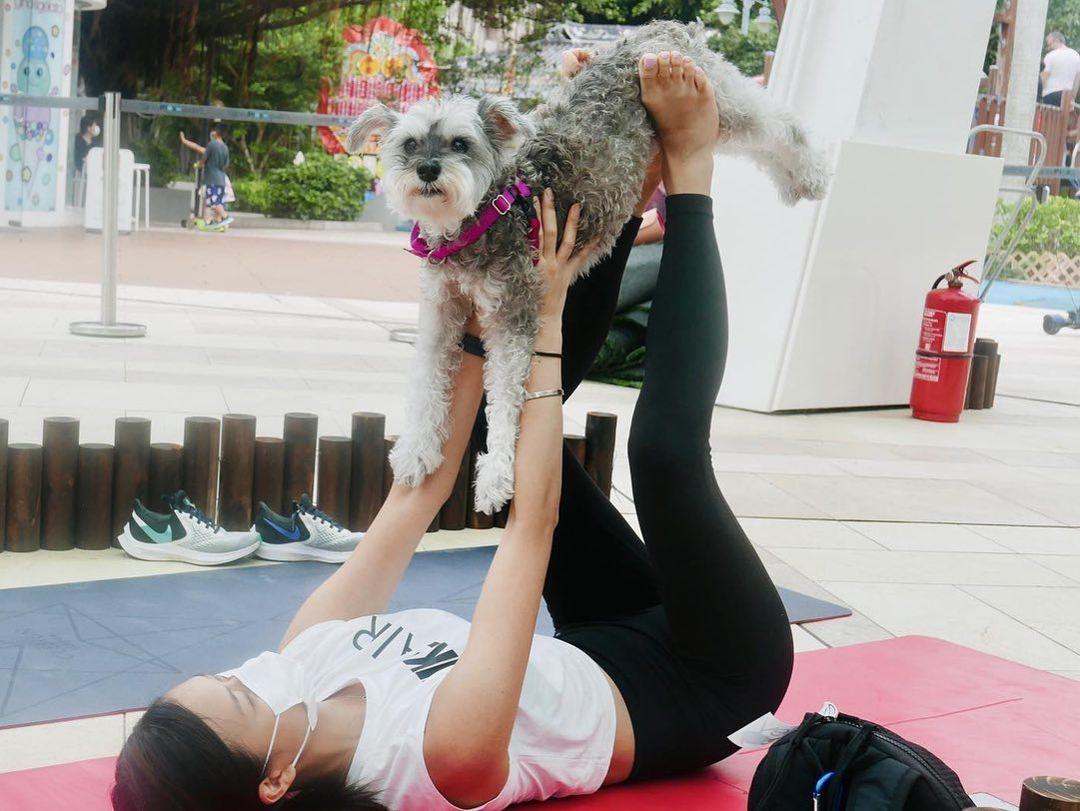 。而赤柱廣場更不時會舉辦以寵身為主題的活動,如狗狗瑜伽等 (instagram @tinacyoga)
