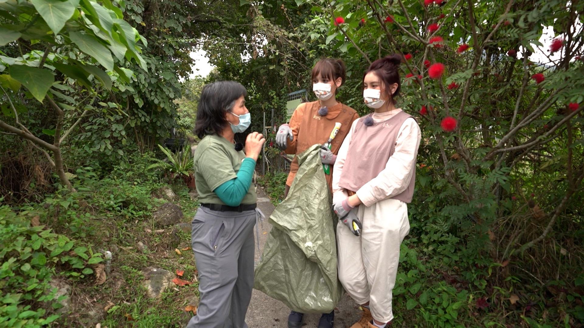 Shirley與Asha跟隨義工隊採摘植物,準備餵飼野牛。