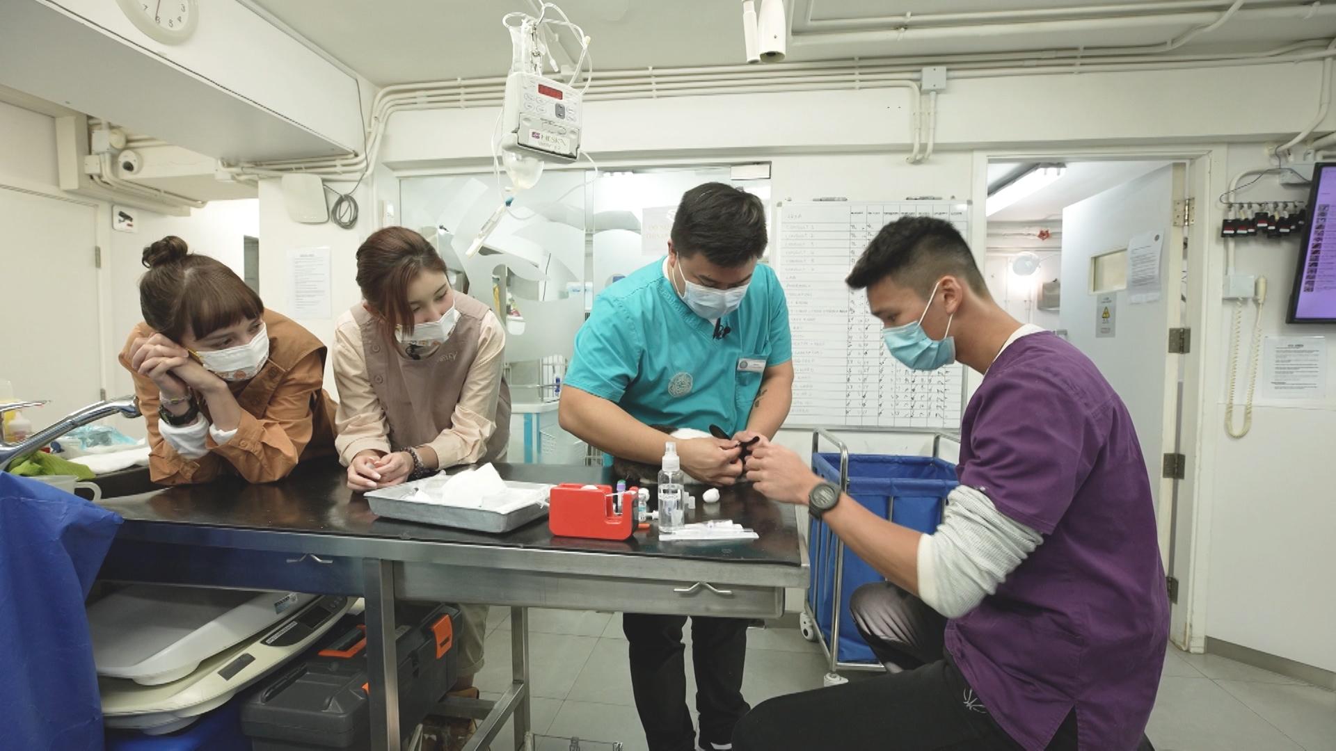 兩人在首集到訪24小時動物醫院體驗拯救工作。