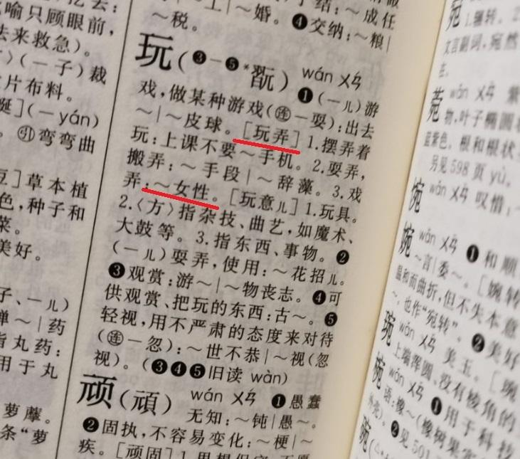 內地一些網民對《新華字典》出現「玩弄女性」的例句感到不妥。(互聯網)