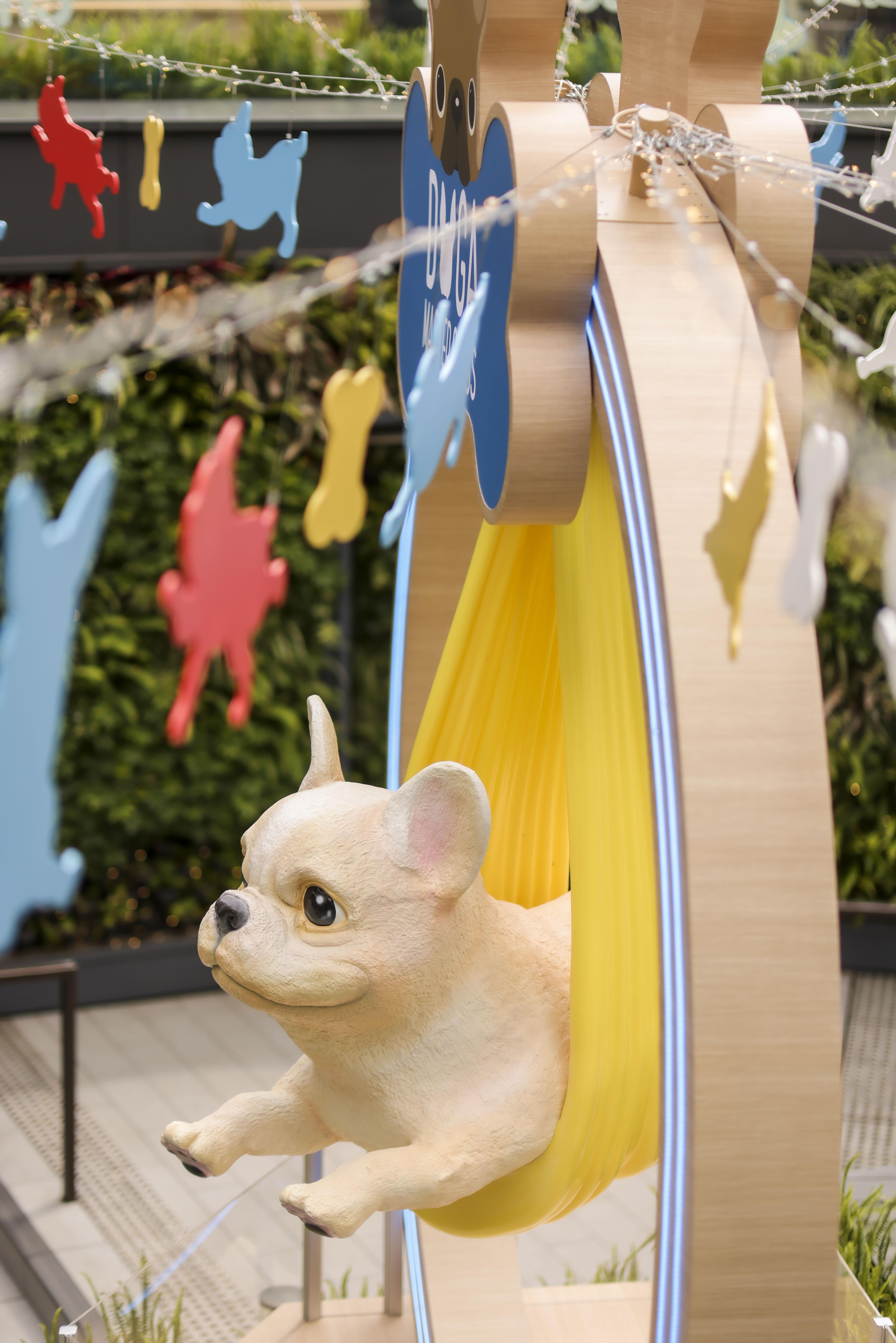 L3-空中瑜伽法鬥