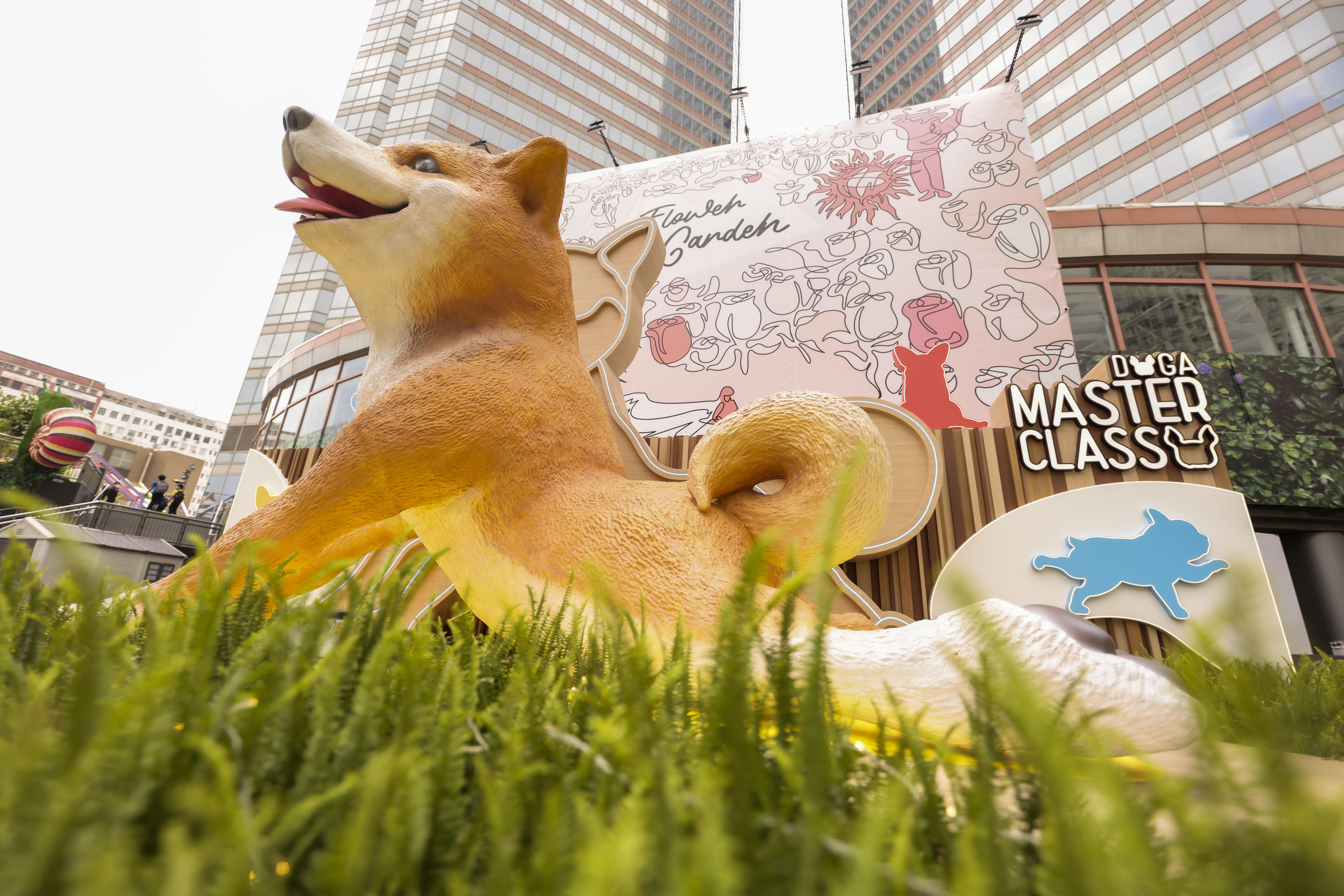 L4-4米高巨犬柴柴