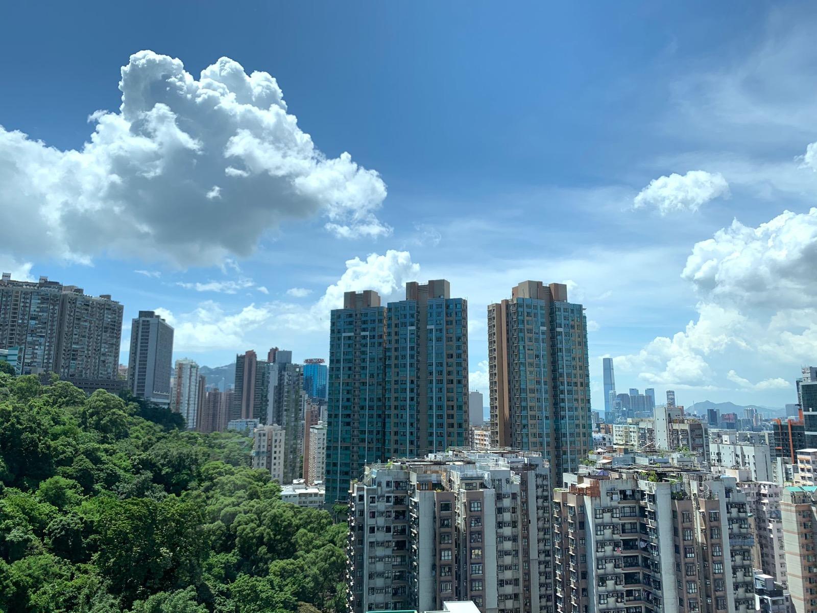 單位望開揚翠綠山景及北角市景。