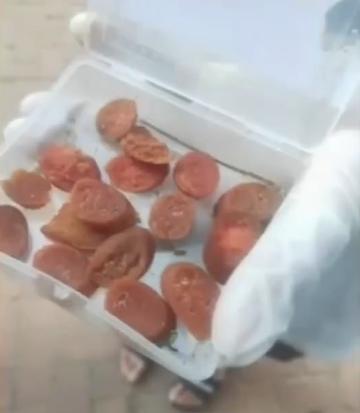 河北石家莊一個小區有人落毒殺貓狗,有居民在附近草地發現十幾片疑似浸過藥水的火腿腸。(互聯網)