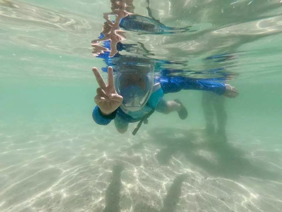 由PADI專業潛水領袖講解基本浮潛理論及技術、陪同及指導浮潛,進行綠蛋島浮潛