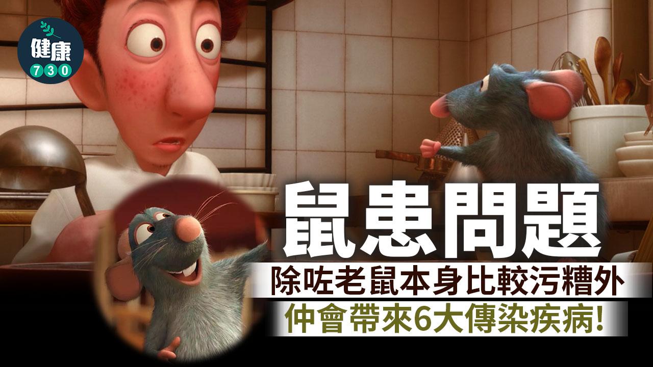 老鼠防治|處理不善會引致鼠疫、斑疹熱等6種鼠患(am730製圖)