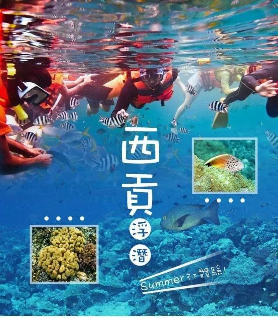 西貢浮潛初體驗半天游