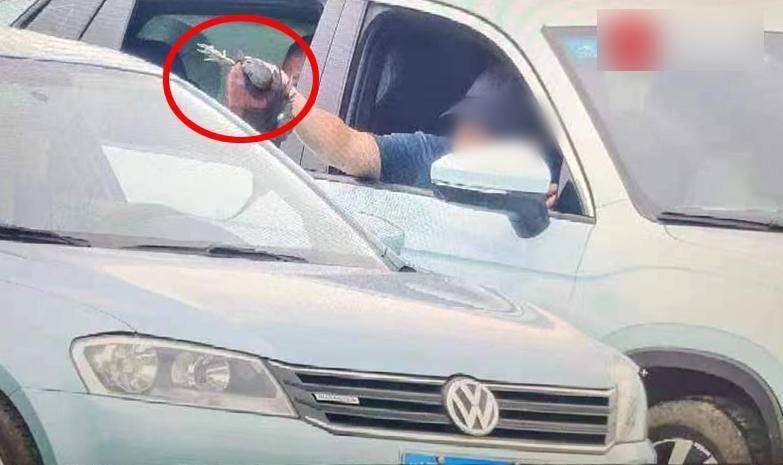 疑犯射殺彩䴉後返回車上,再向同伴炫耀。(互聯網)