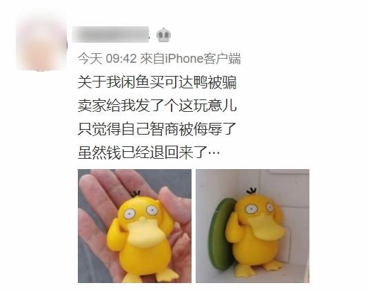 內地網民表示收到貨不對辦的傻鴨。