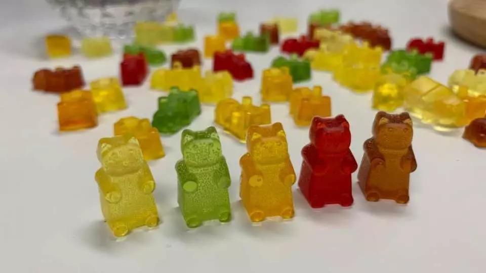 繽紛小熊蠟燭工作坊