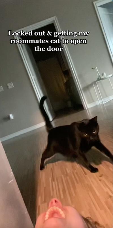 門就在這時突然打開,她也在毫無防備之下跌進屋內,驚喜大笑說「好了」。。(YouTube)