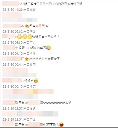 網民留言。(微博)