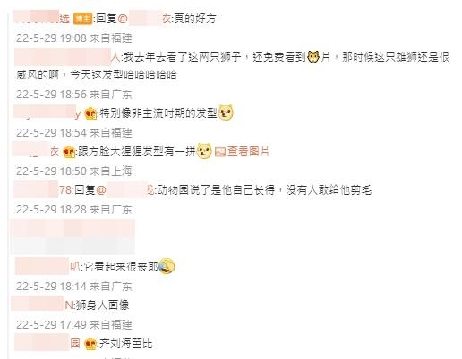 網民留言。(微博)