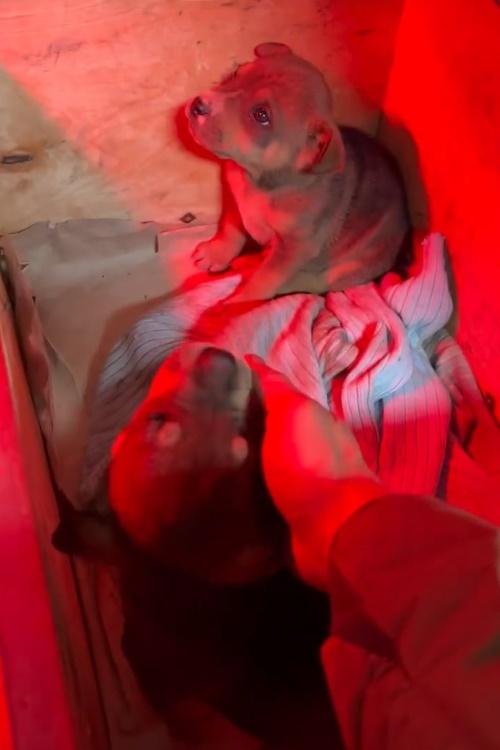 李根大尉本人昨日在個人Instagram(IG)連發照片及片段。(IG)